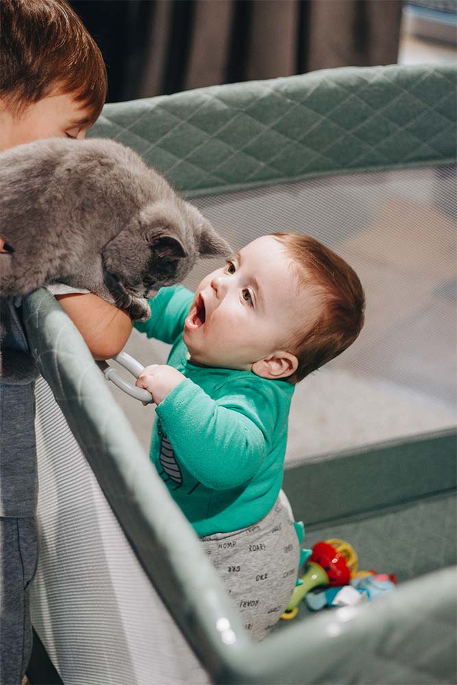 Манеж и мифы: разговор со скептиком 1